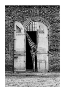 Poster Hiding Giraffe