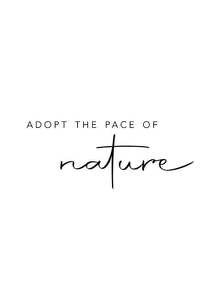 Poster Pace Of Nature