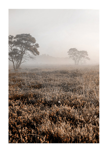 Poster Autumn Field